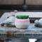 Flora Bunda® Succulent In Two Tone Lines Pattern Pink Ceramic Pot